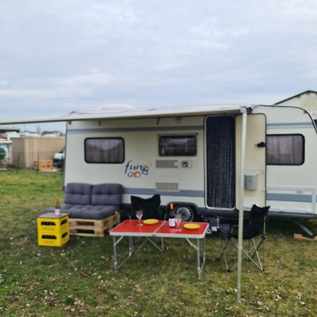 Hôtel Louise'S Camper à Neusiedl an der Zaya Extérieur photo